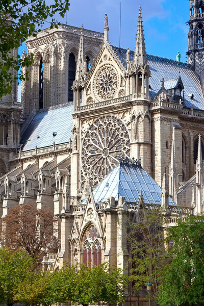 Нотр-Дам де Пари