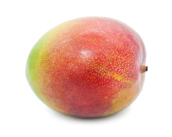 Mango — Zdjęcie stockowe