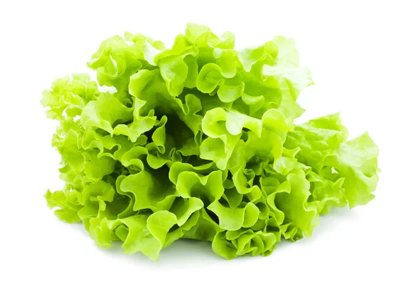 Lechuga — Foto de Stock