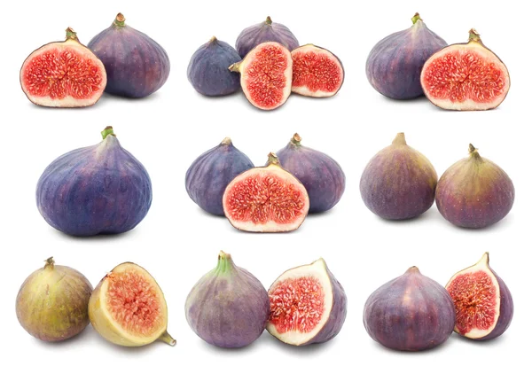 Fig — Stock Photo, Image