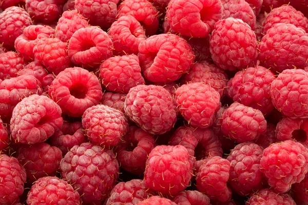 Raspberries Royalty Free Stock Photos