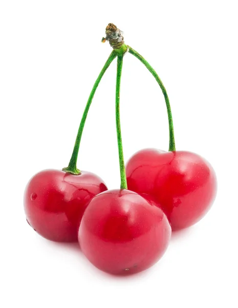 Cereza roja — Foto de Stock