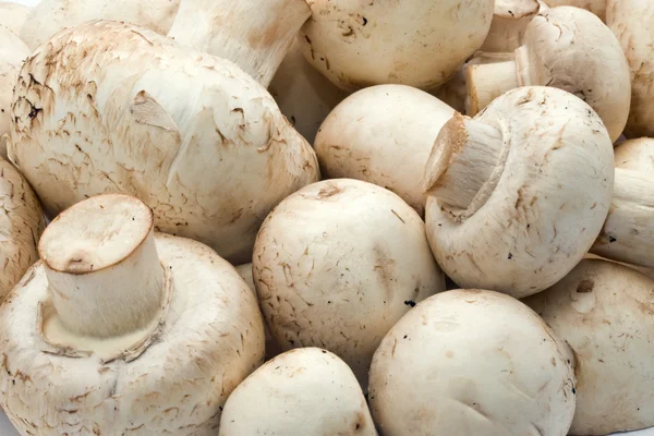 Champignon mushrooms — Stock Photo, Image