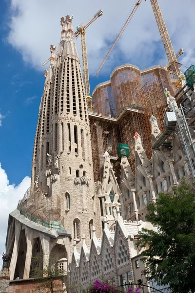 Sagrada Familia w Barcelonie — Zdjęcie stockowe