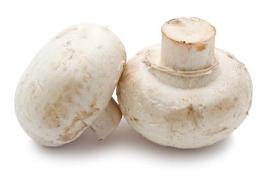 champignon mantarları