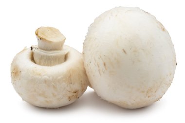 champignon mantarları