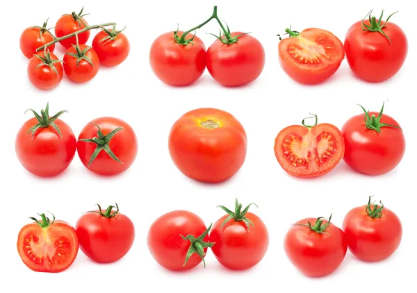 Tomatoes — Stock Photo, Image