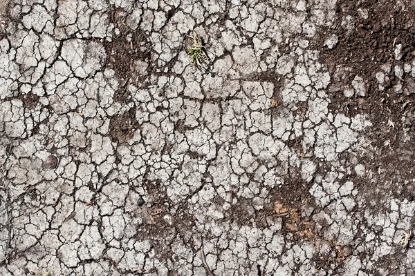 Tierra seca — Foto de Stock