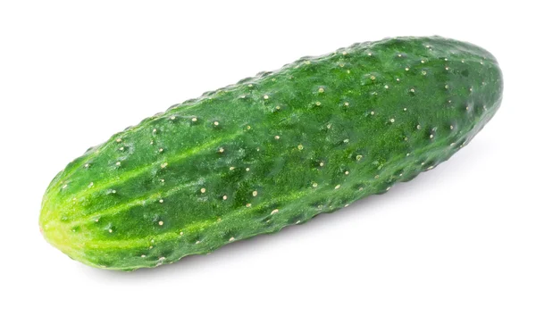 Fresh cucumber — Stock Photo, Image