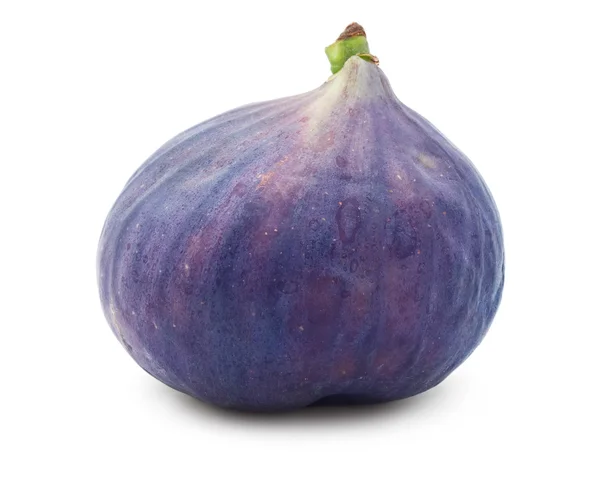 Fig — Stock Photo, Image