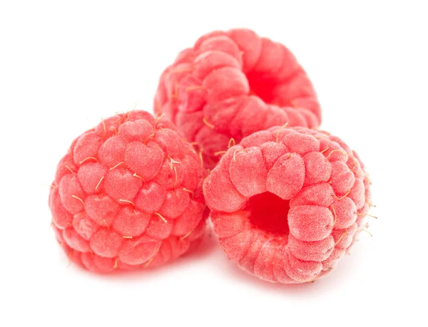 Frische Himbeeren — Stockfoto