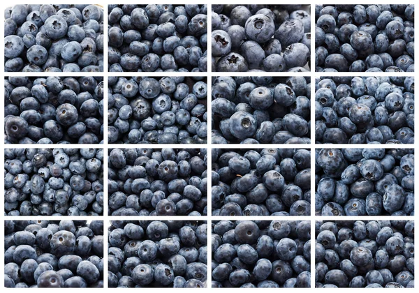 Blueberries — Stock Photo, Image