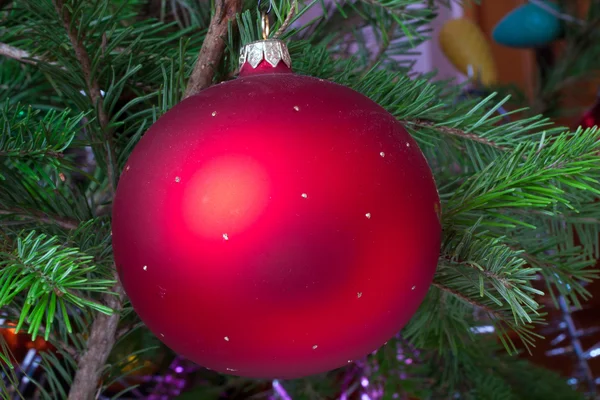 Bola de Natal — Fotografia de Stock