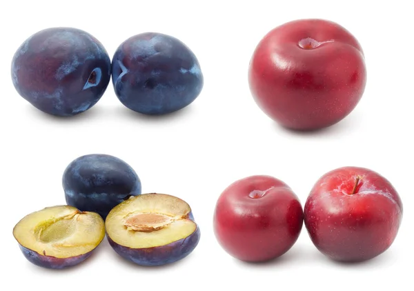 Plums — Stock Photo, Image