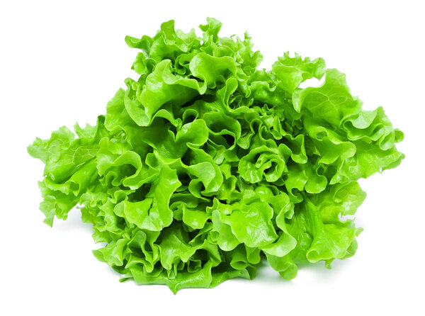 Lettuce