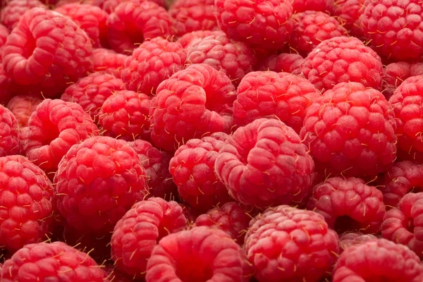 Raspberries Royalty Free Stock Photos