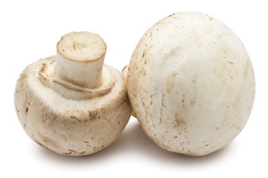 champignon mantarları