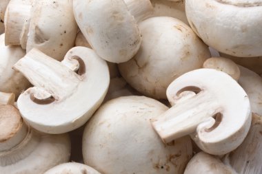 champignon mantarları