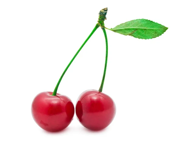 Cereza roja — Foto de Stock