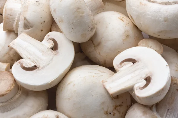 Champignon mushrooms — Stock Photo, Image