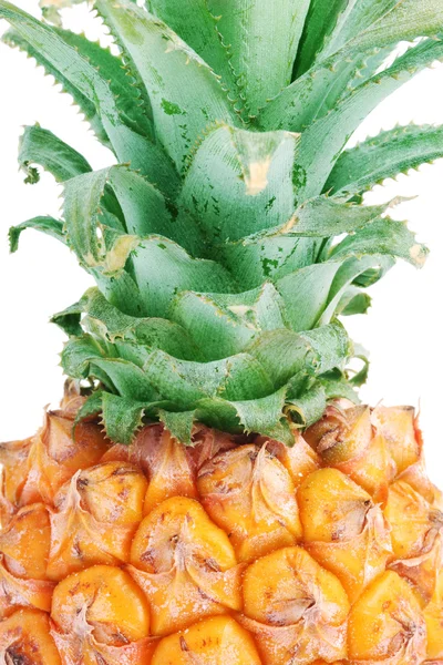 Ananas – stockfoto