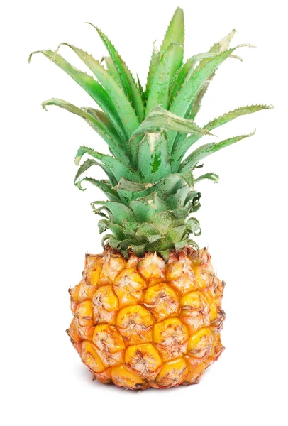 Ananas — Zdjęcie stockowe