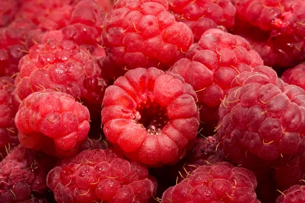 Raspberries — Stock Photo, Image