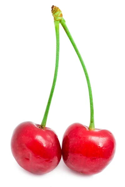 Cereza roja — Foto de Stock