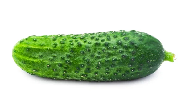 Färsk gurka — Stockfoto