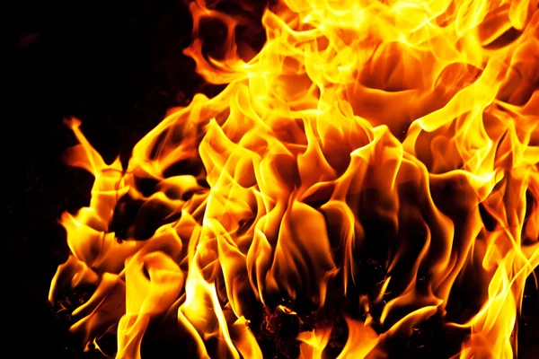 Fire — Stock Photo, Image