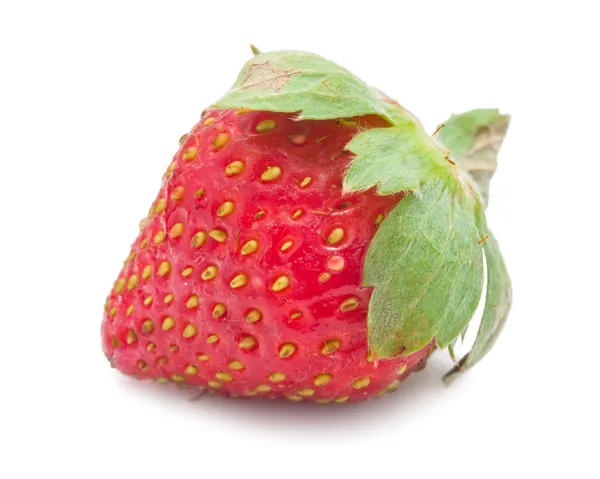 Fragola — Foto Stock