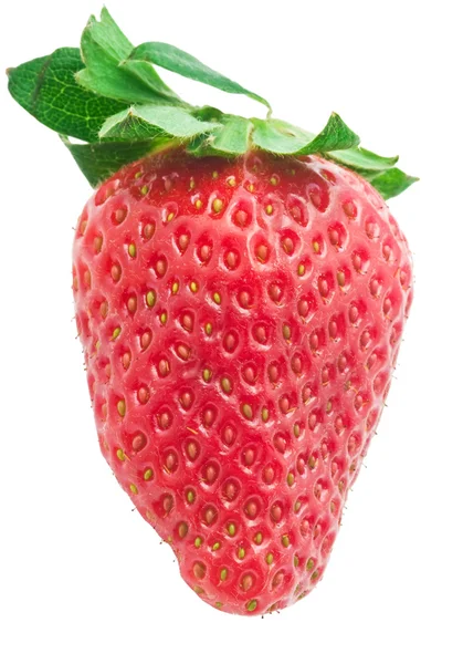 Aardbeien — Stockfoto