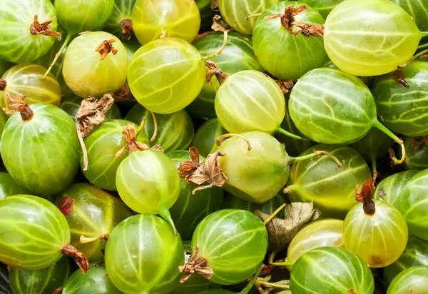 Bacche di uva spina — Foto Stock