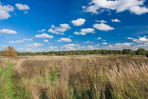 Grasland — Stockfoto