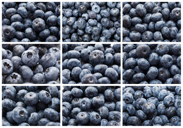 Blueberries — Stock Photo, Image