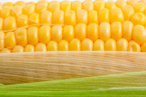 Corn — Stock Photo, Image