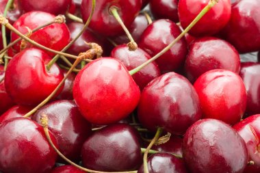 Kırmızı Kiraz