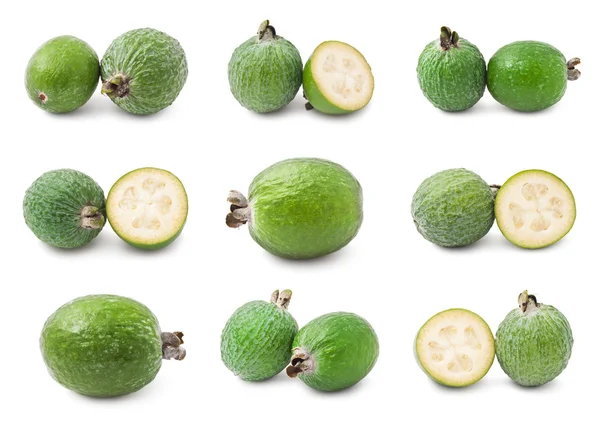 Feijoa — Stock fotografie