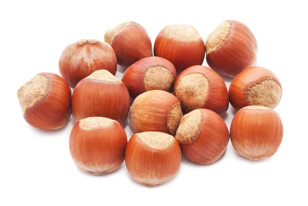 Hazelnuts or filbert Stock Image