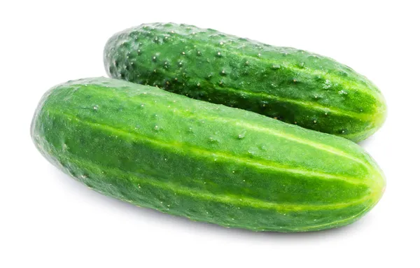 Fresh cucumber — Stock Photo, Image