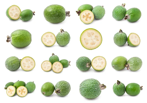 Feijoa — Stock fotografie