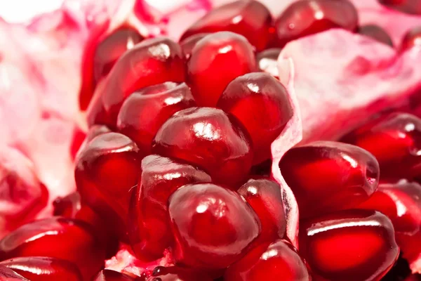 Pomegranate — Stock Photo, Image