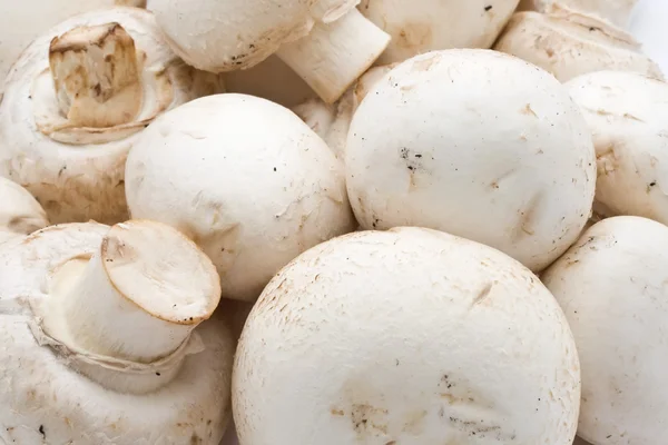 Champignon mushrooms — Stock Photo, Image