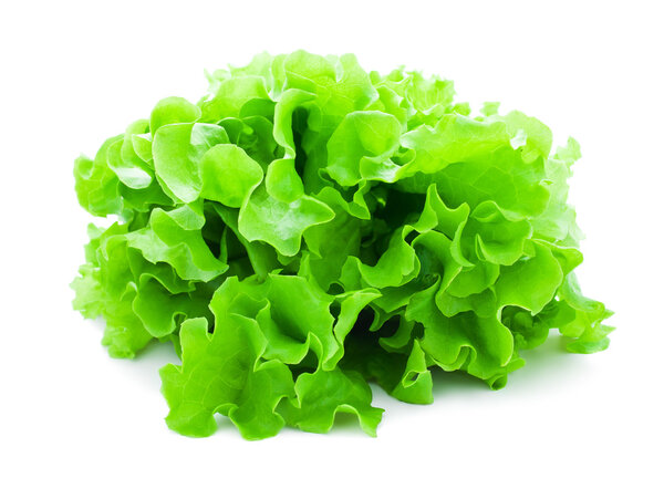 Lettuce
