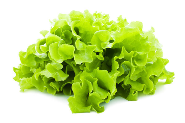 Lettuce