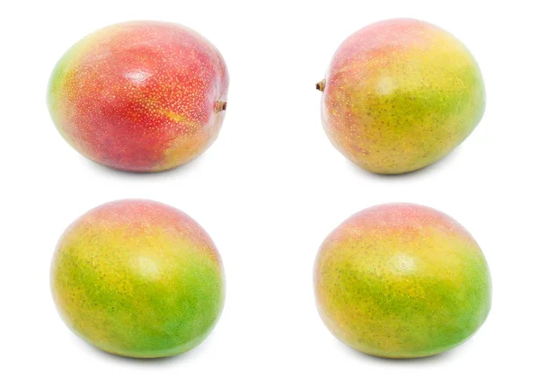 Mango — Stockfoto