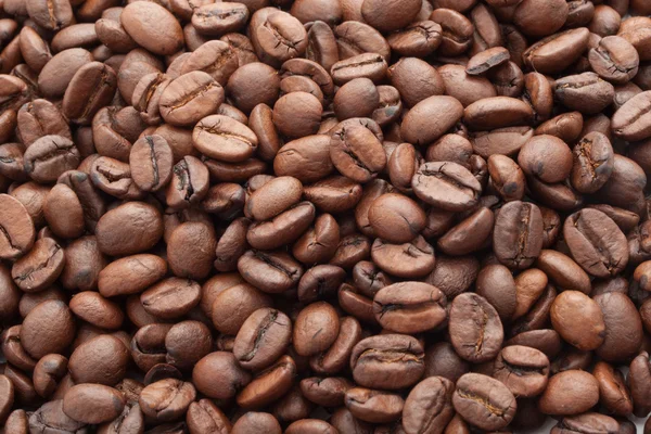 Coffee beans — Stock Photo, Image