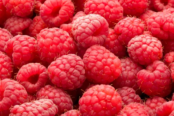 Raspberries Royalty Free Stock Photos