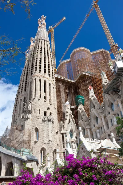 Sagrada Familia in Barcelona — Stock Photo, Image