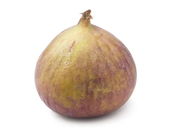 Fig frukt — Stockfoto